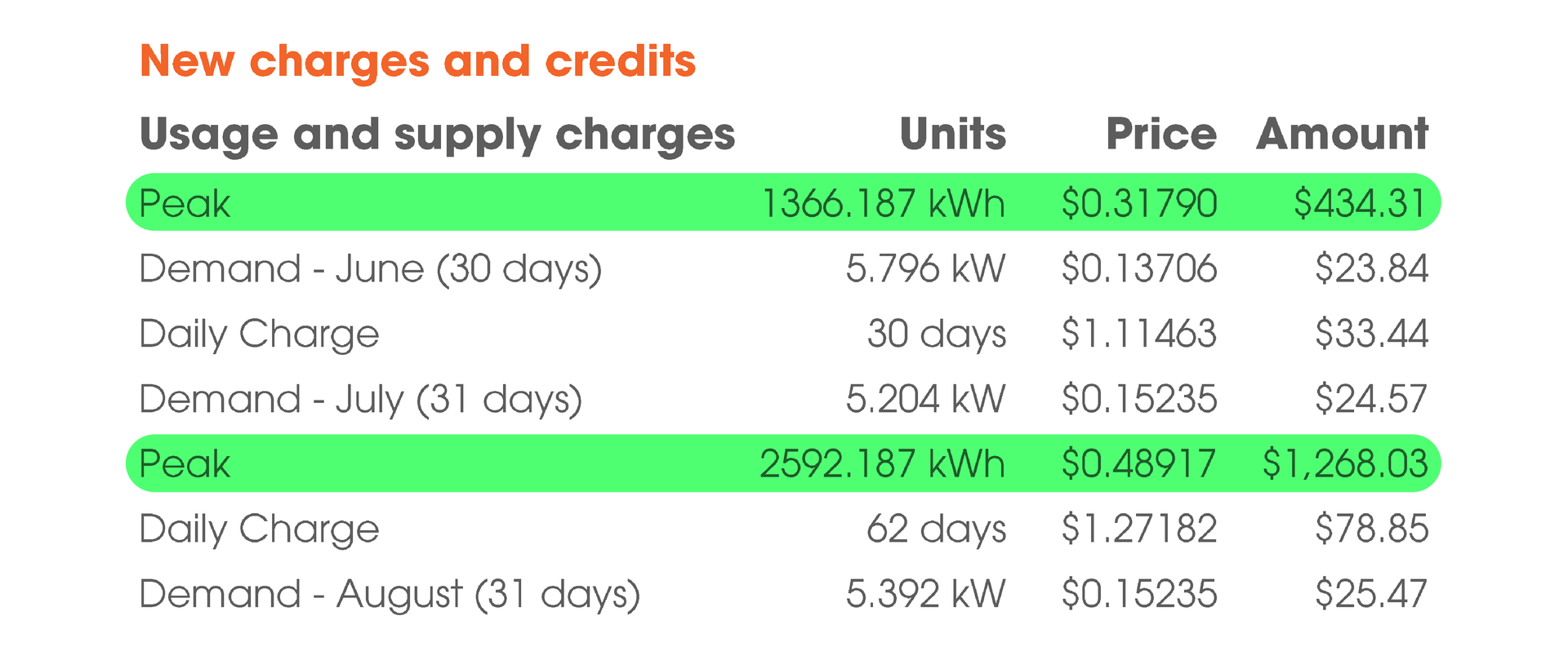 Example Electricity Bill Charges 2