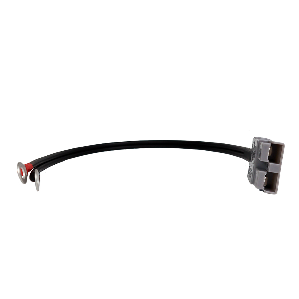 Alvolta Anderson to Ring Terminals