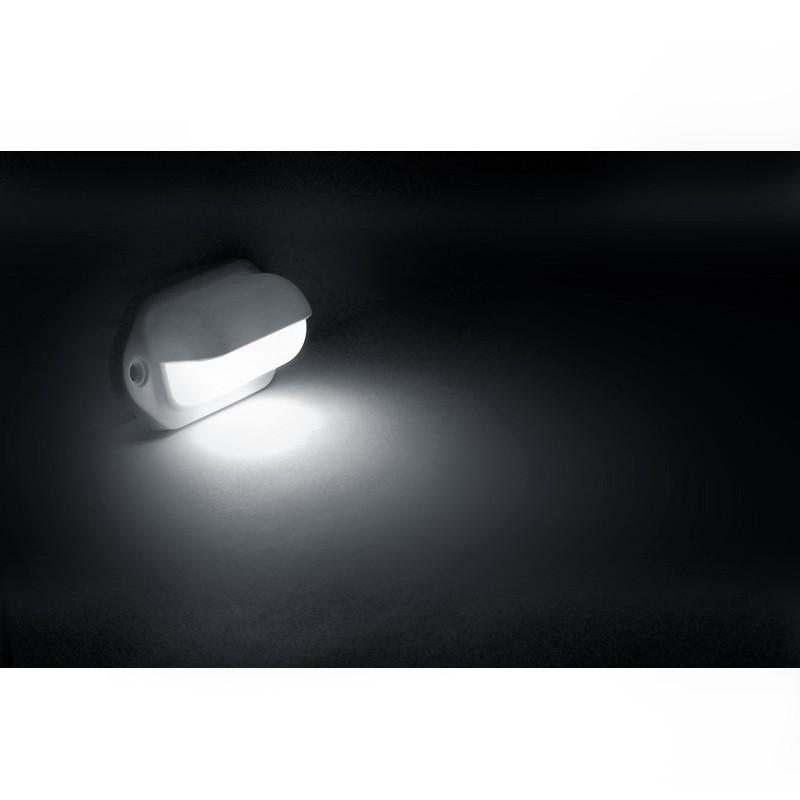 DREAM LIGHTING 66mm LED White Companion Way Light