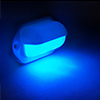 DREAM LIGHTING 66mm LED White Companion Way Light