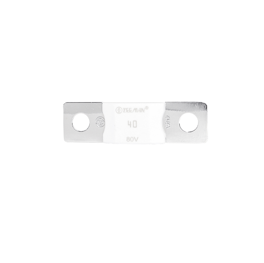 AMG/ Mega 40A Fuse