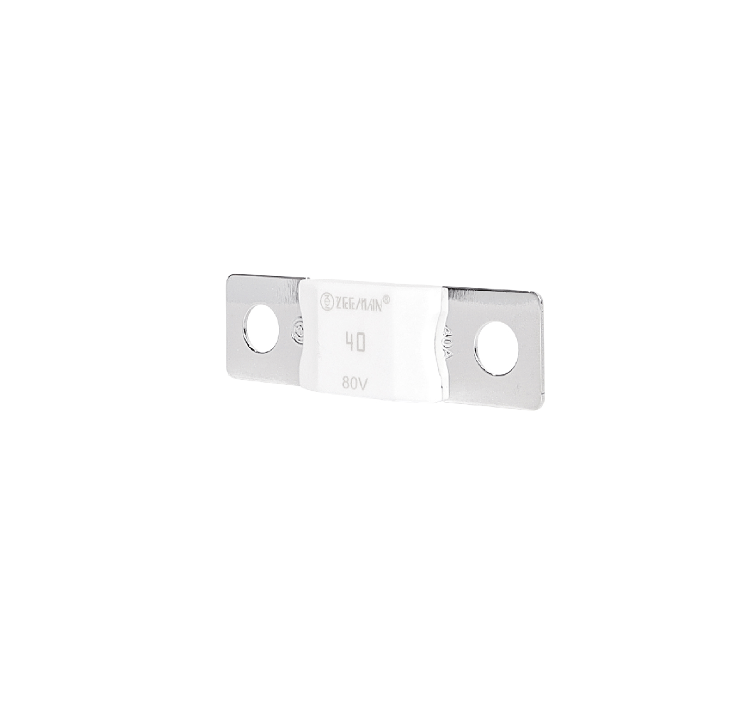 AMG/ Mega 40A Fuse