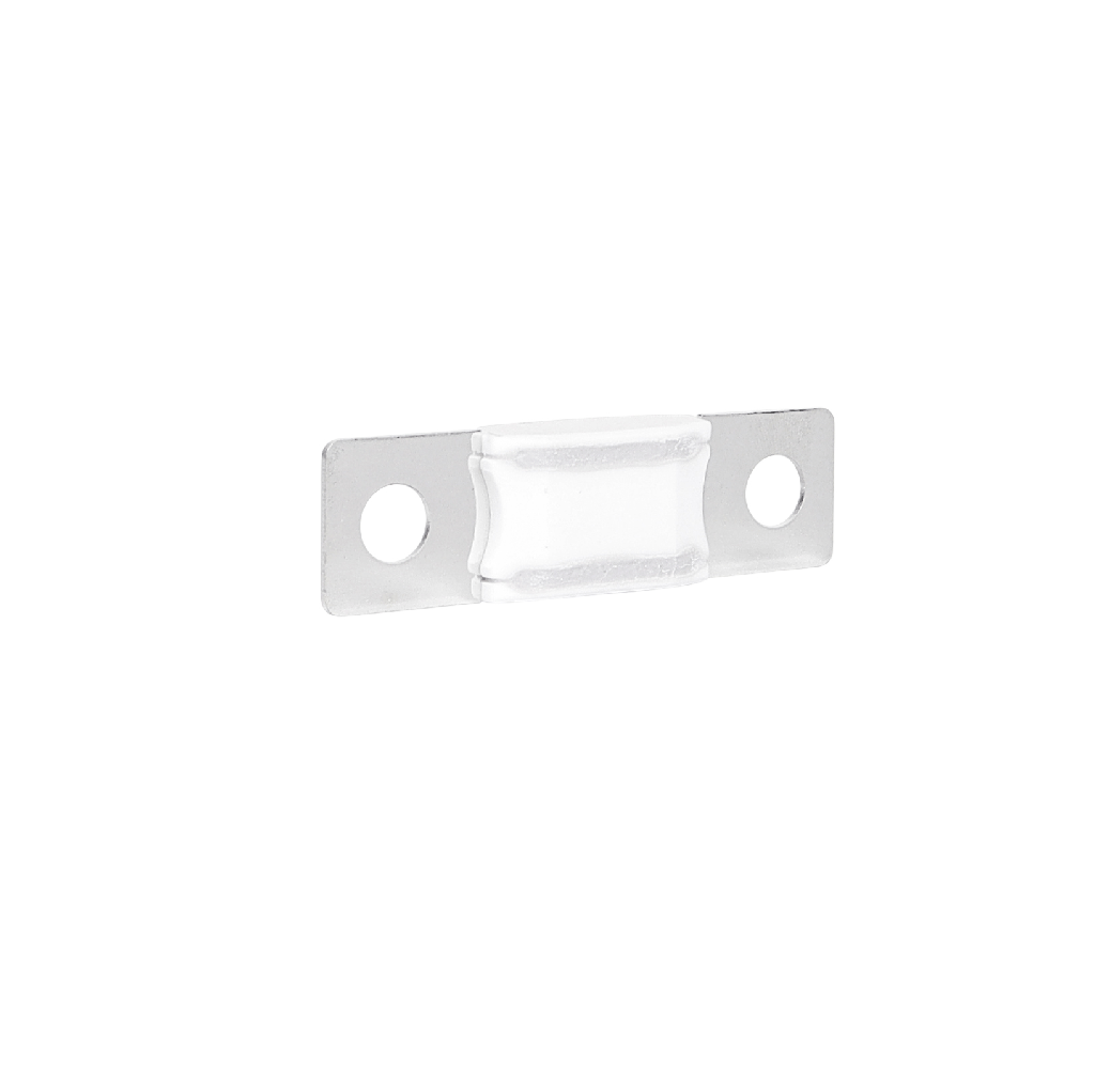 AMG/ Mega 40A Fuse
