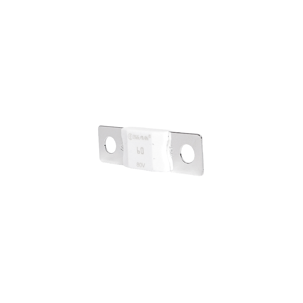 AMG/ Mega 60A Fuse