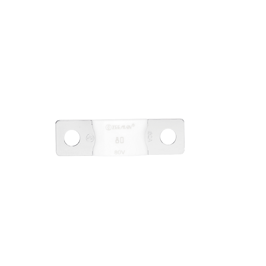 AMG/ Mega 80A Fuse