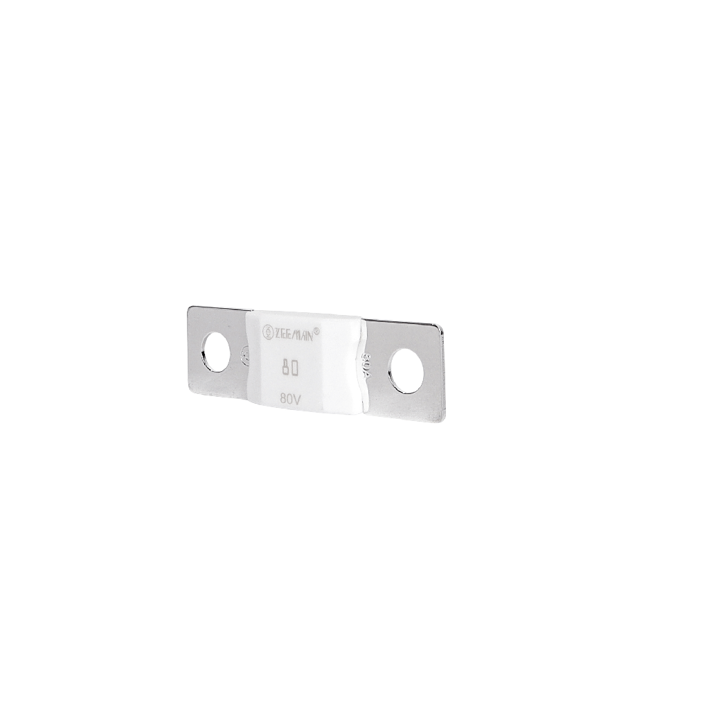 AMG/ Mega 80A Fuse