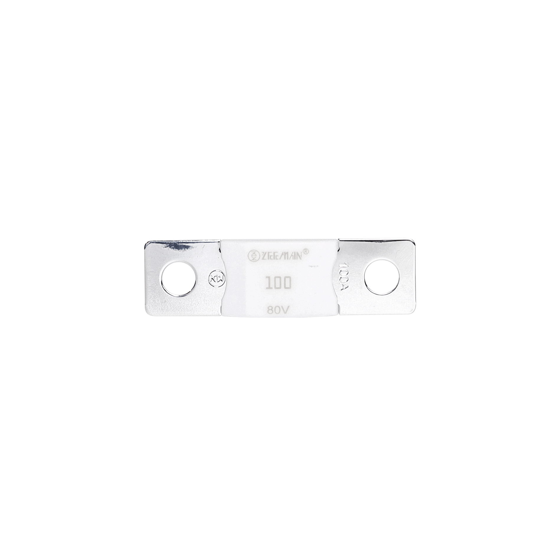 AMG/ Mega 100A Fuse