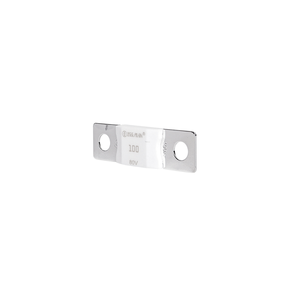 AMG/ Mega 100A Fuse