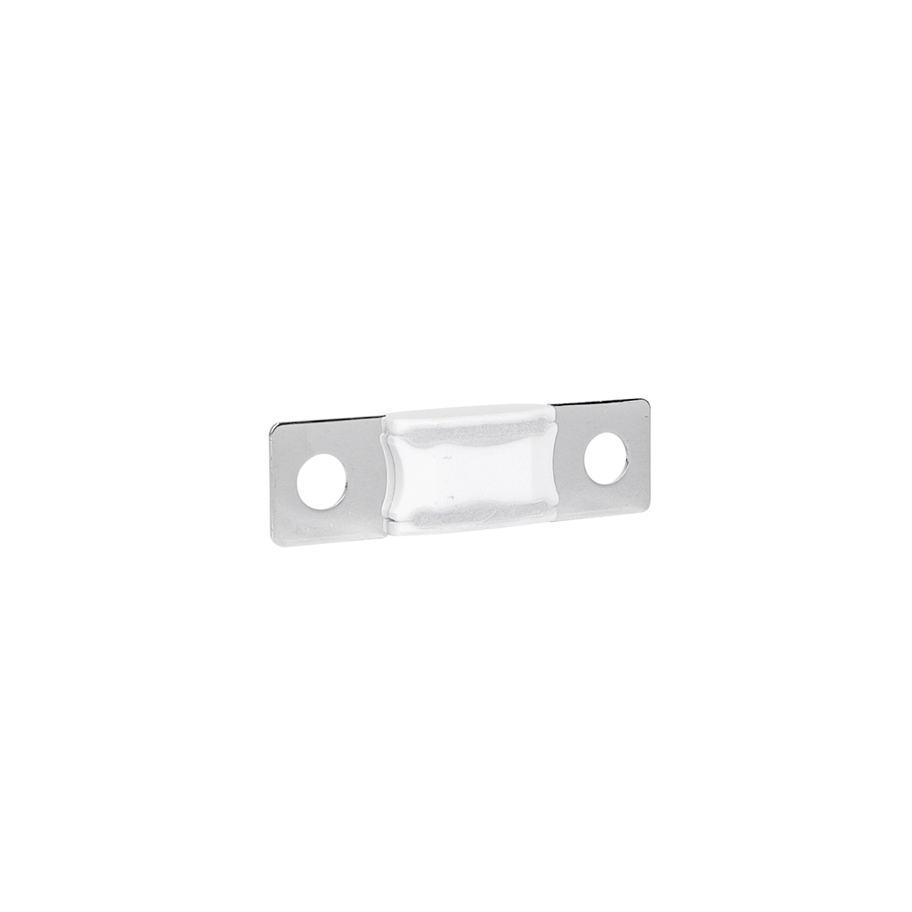 AMG/ Mega 100A Fuse