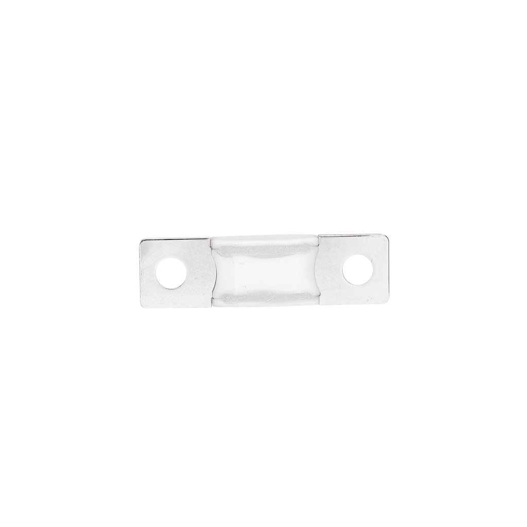AMG/ Mega 100A Fuse