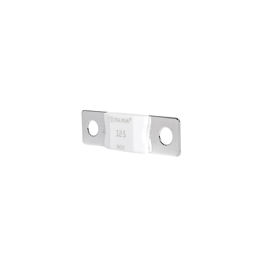 AMG/ Mega 125A Fuse