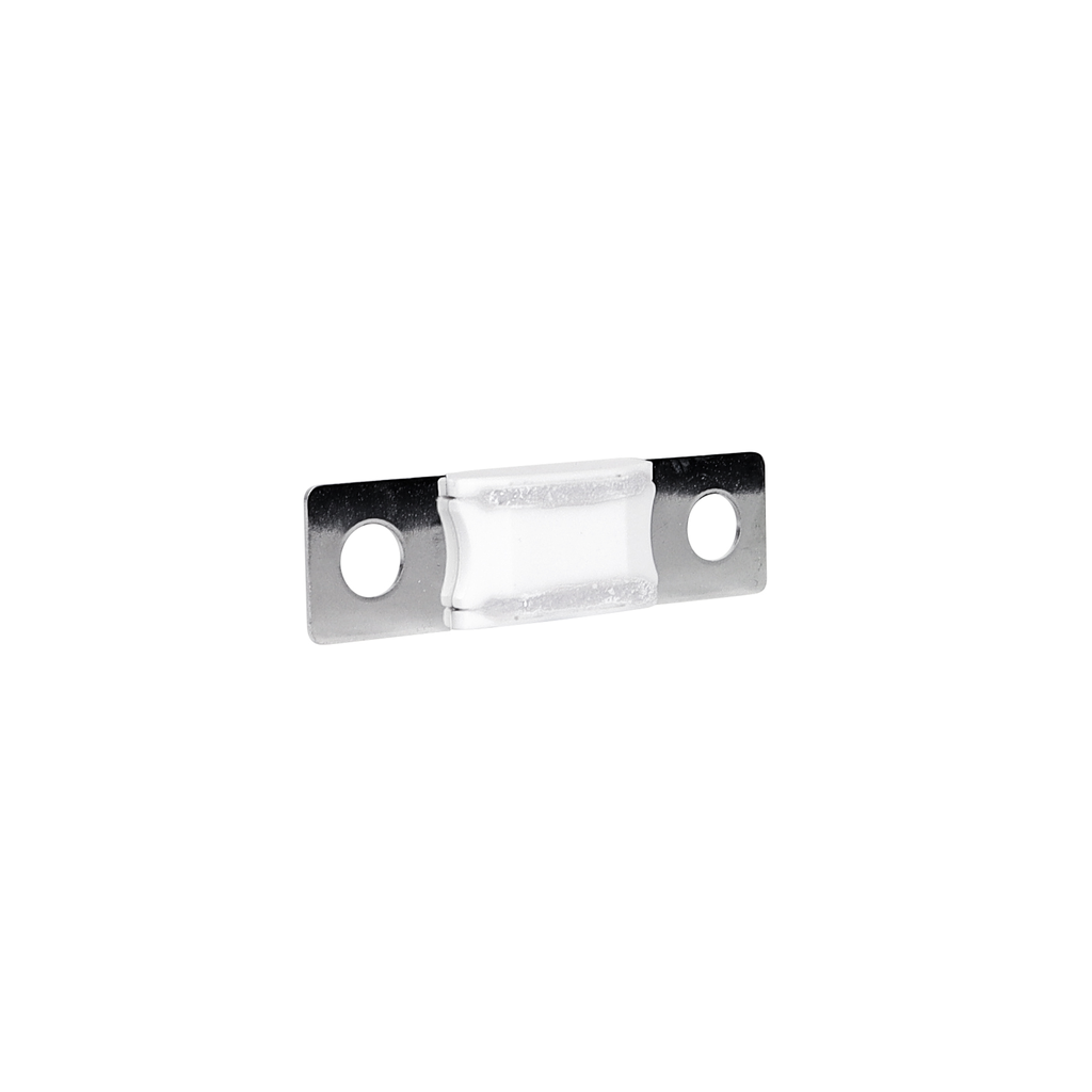 AMG/ Mega 150A Fuse