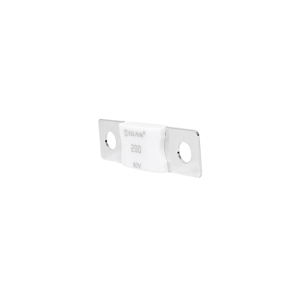 AMG/ Mega 200A Fuse