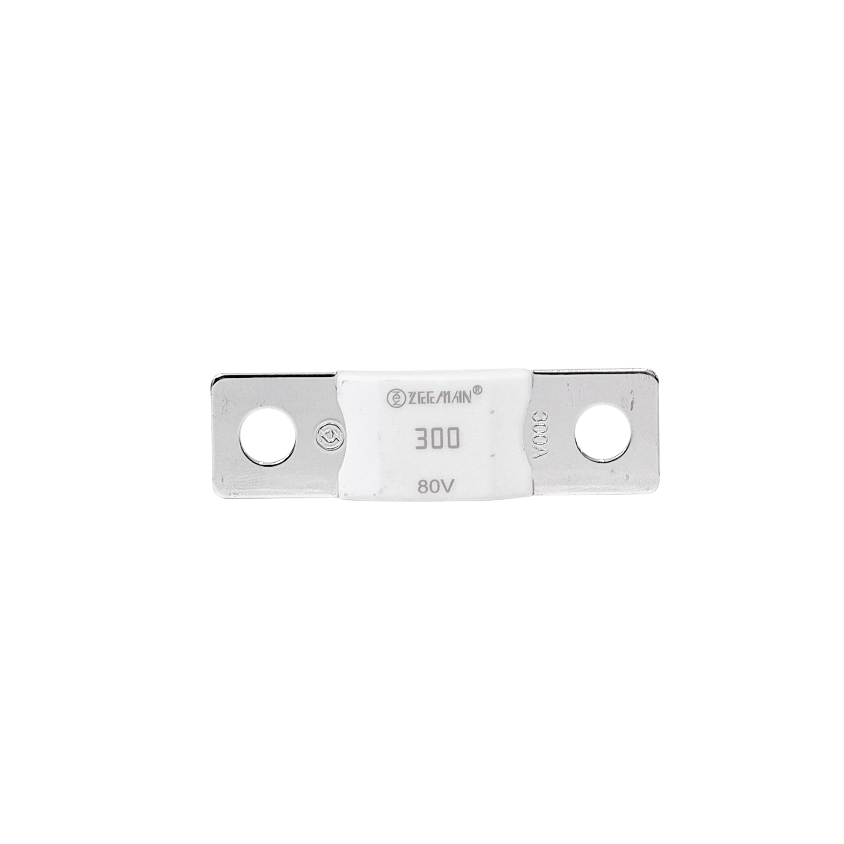 AMG/ Mega 300A Fuse
