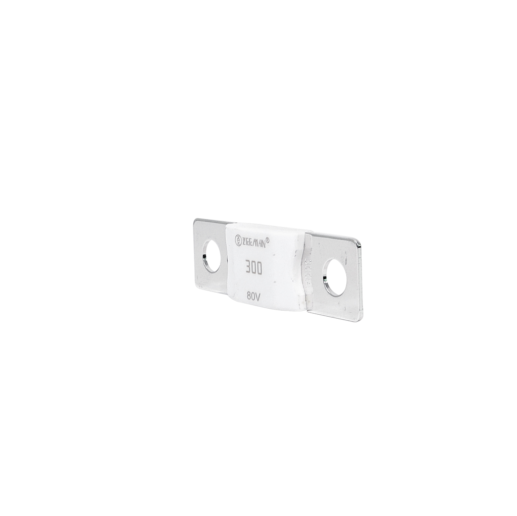 AMG/ Mega 300A Fuse