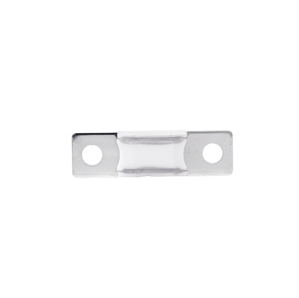 AMG/ Mega 300A Fuse