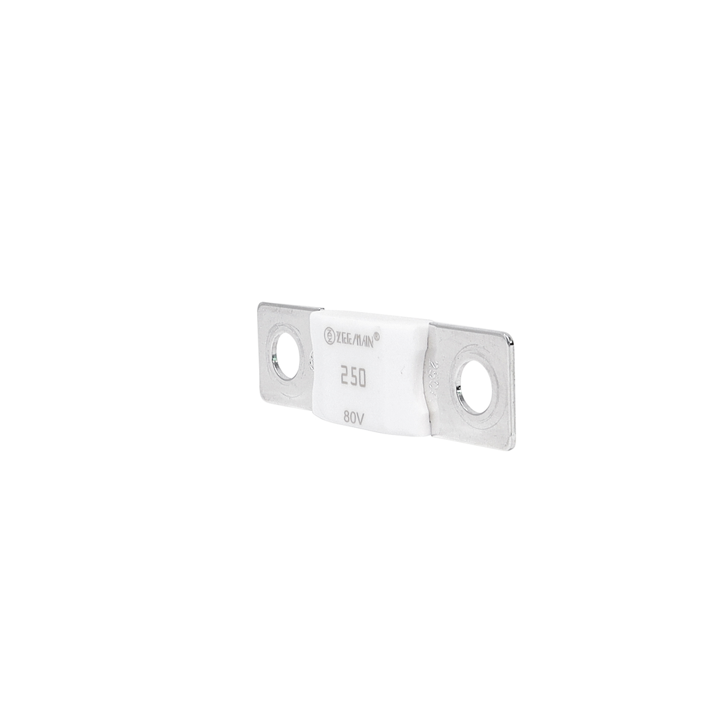 AMG/ Mega 250A Fuse