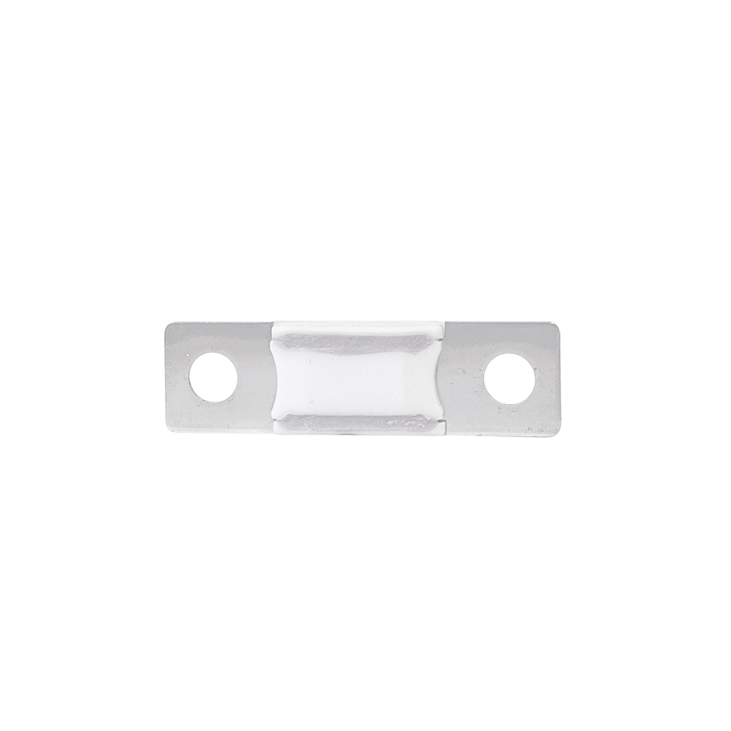 AMG/ Mega 250A Fuse