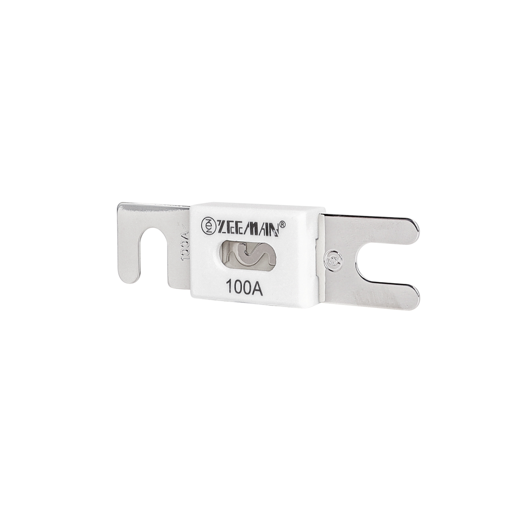 Anl 100A Fuse