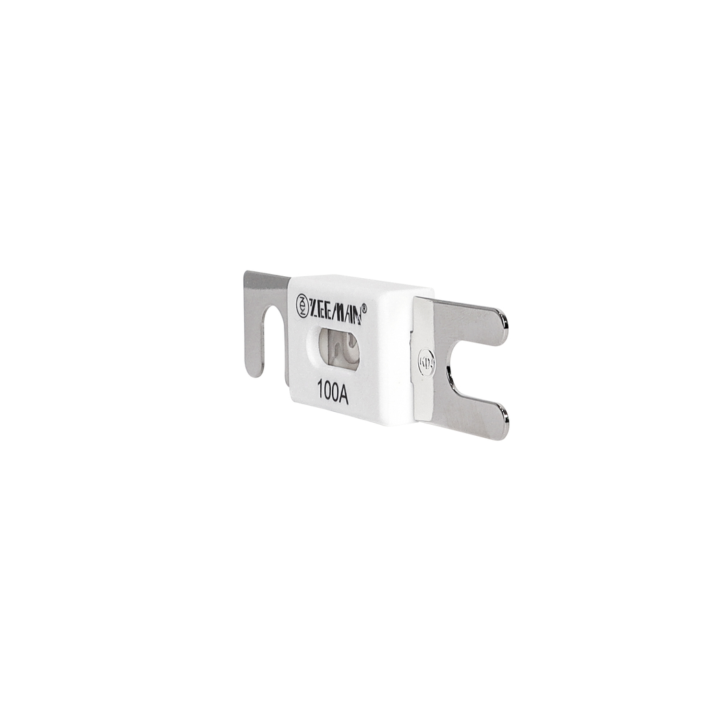 Anl 100A Fuse