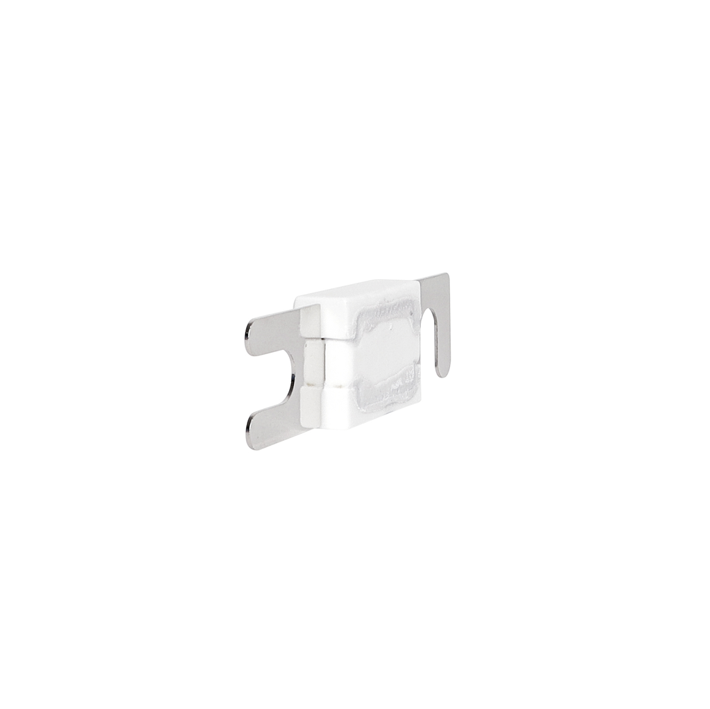 Anl 100A Fuse