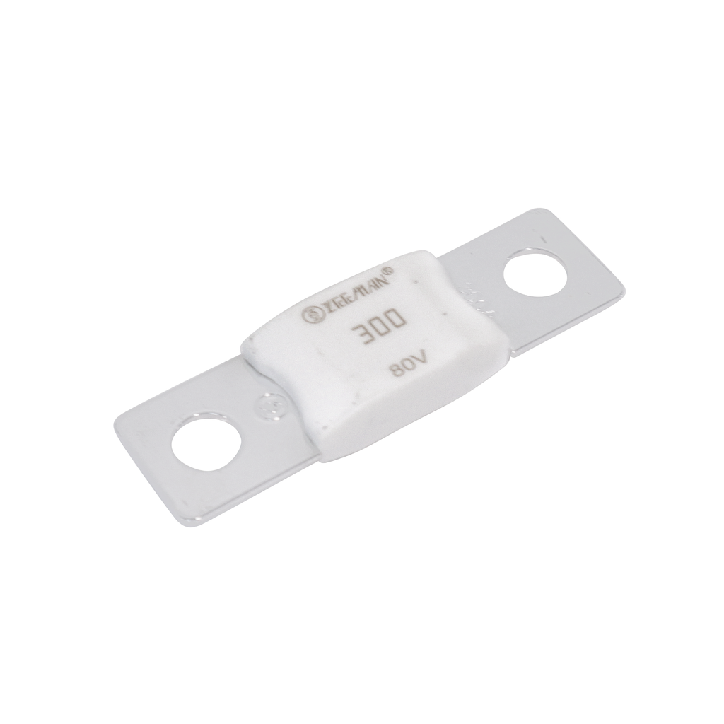 Alvolta AMG/Mega 300A Fuse