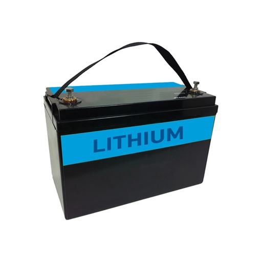 Projecta 25A DC-DC Charger (LiFePO4)