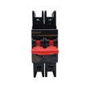 ZJ Beny 63A 2P DC Circuit Breaker 600V