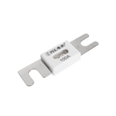 Alvolta ANL 100A Fuse