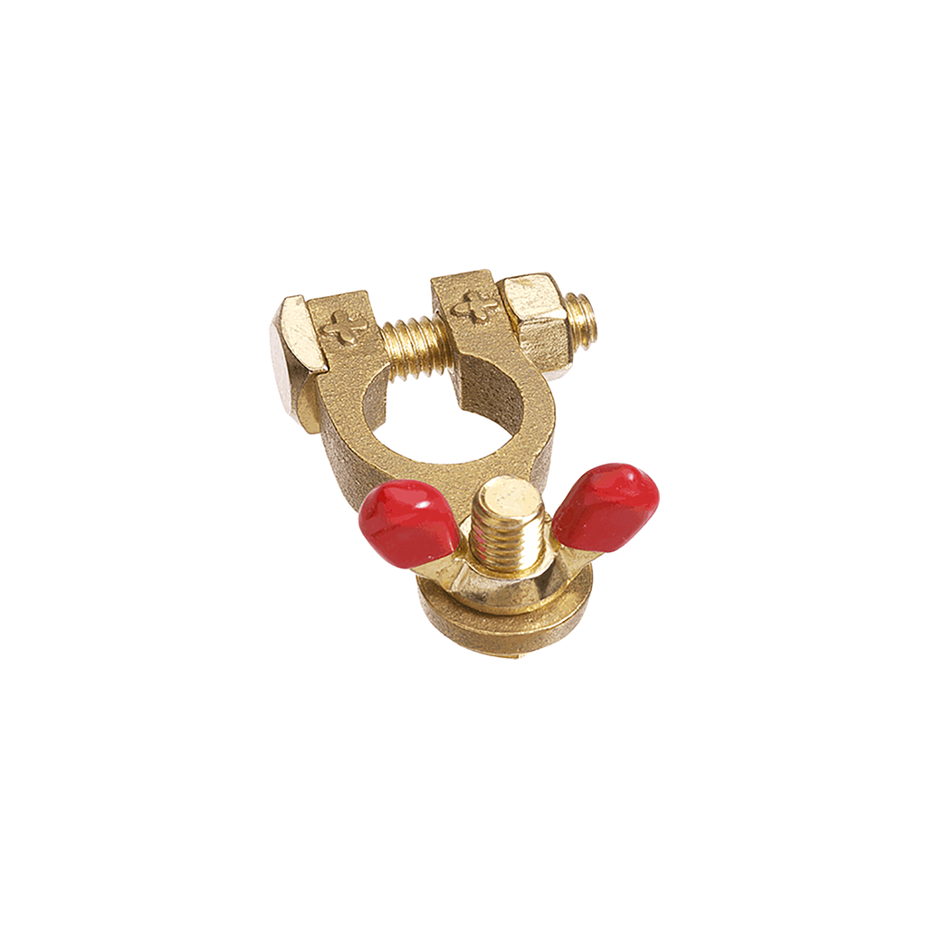 Projecta 8mm Wingnut Brass Positive Terminal (Blister 1)