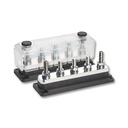 Enerdrive 5-Stud M8 Busbar