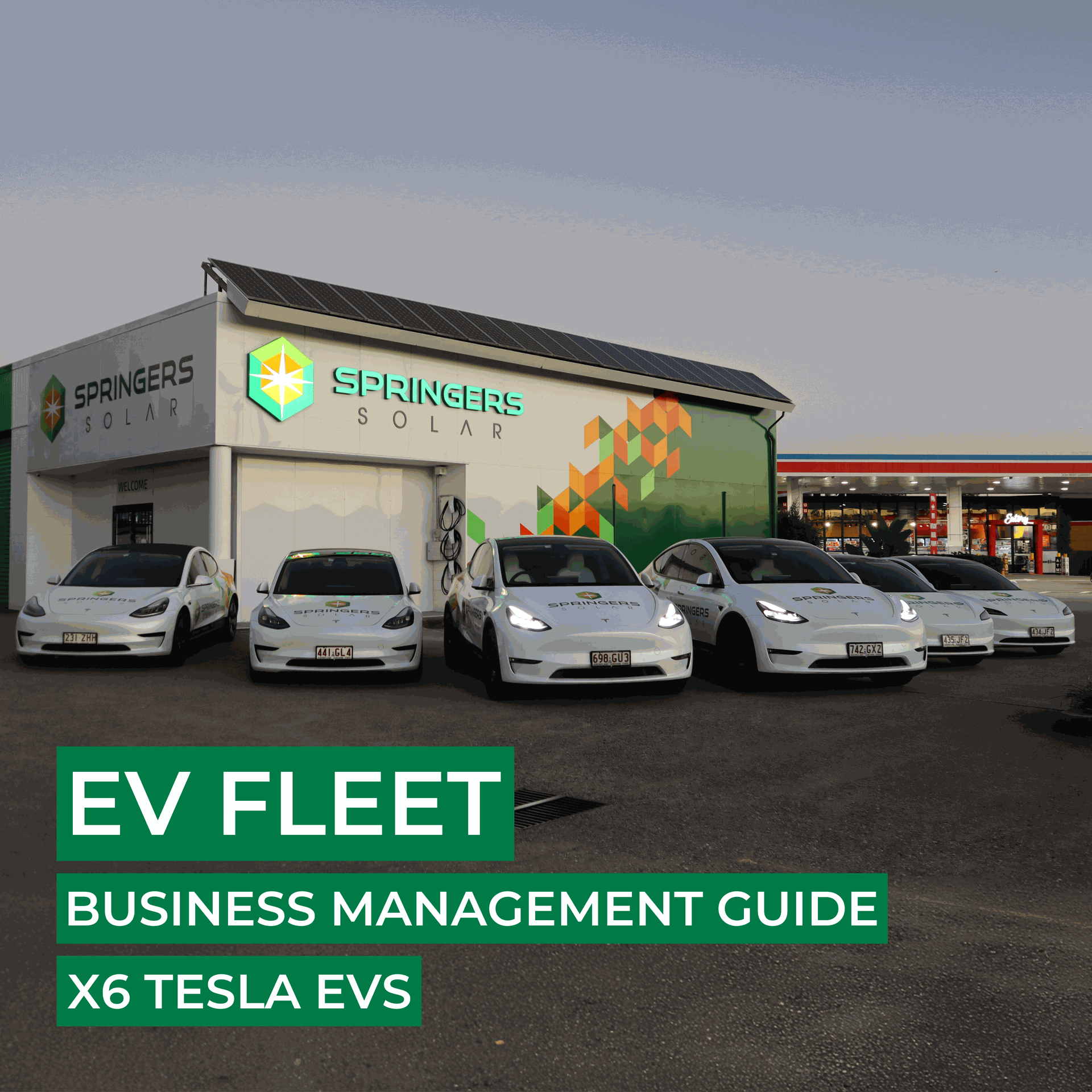 EV Fleet Business Management